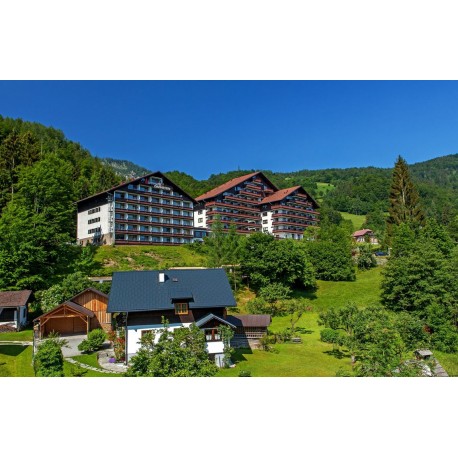 Alpenhotel DACHSTEIN*** - Bad Goisern