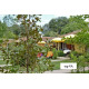 Resort naturystyczny VALALTA*** - Rovinj 