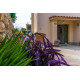 Casa Angeli - Banjol / Rab